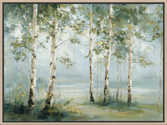 Birch Tree Forest
