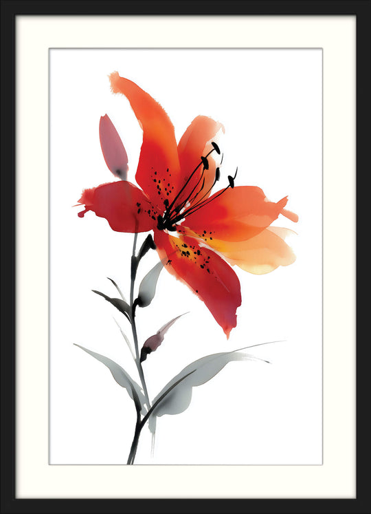Red Lily