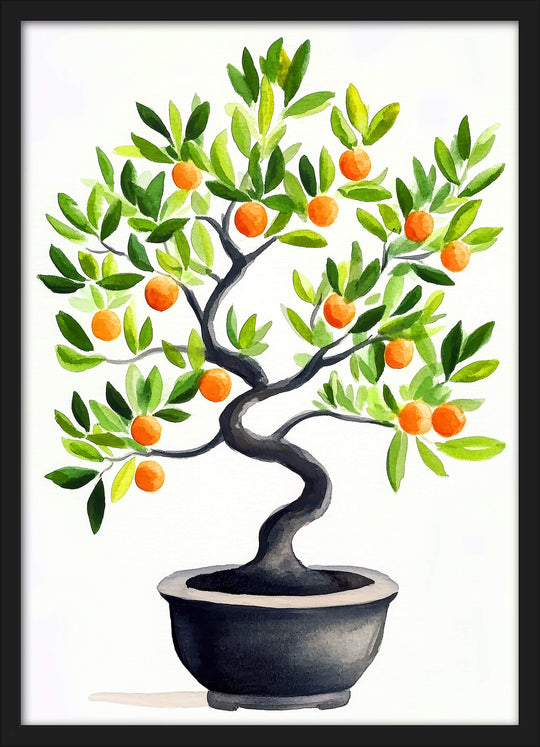Citrus Bonsai