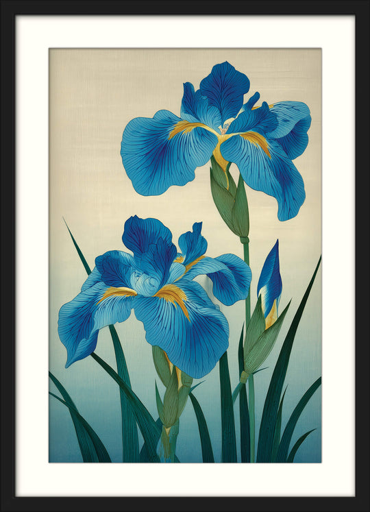 Blue Irises