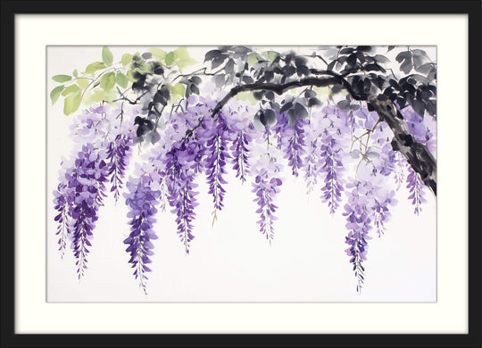 Purple Hanging Wisteria
