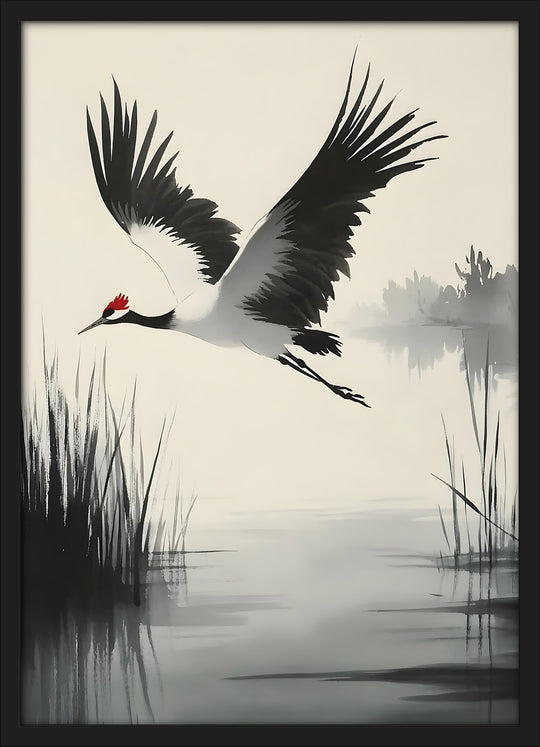 Red-Crowned Crane in Flight