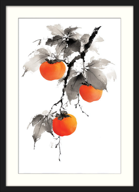 Persimmons on Branch