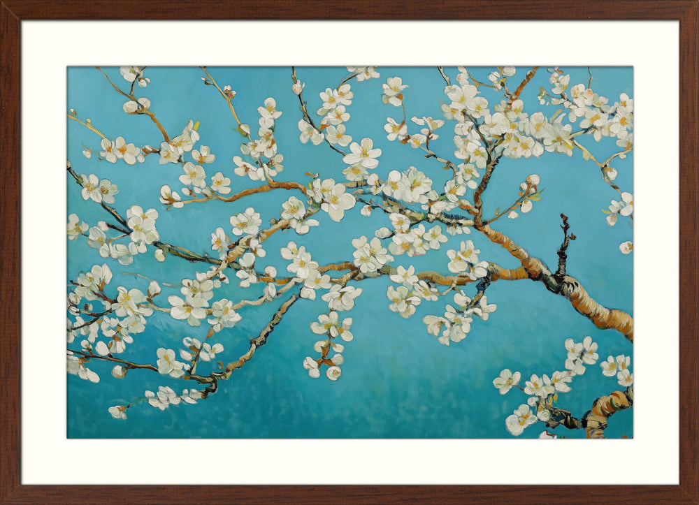 Almond Blossoms in Full Bloom