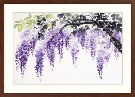 Purple Hanging Wisteria