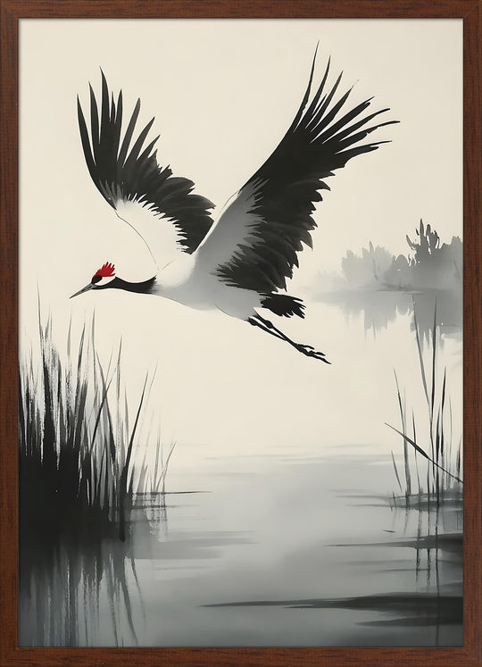 Red-Crowned Crane in Flight