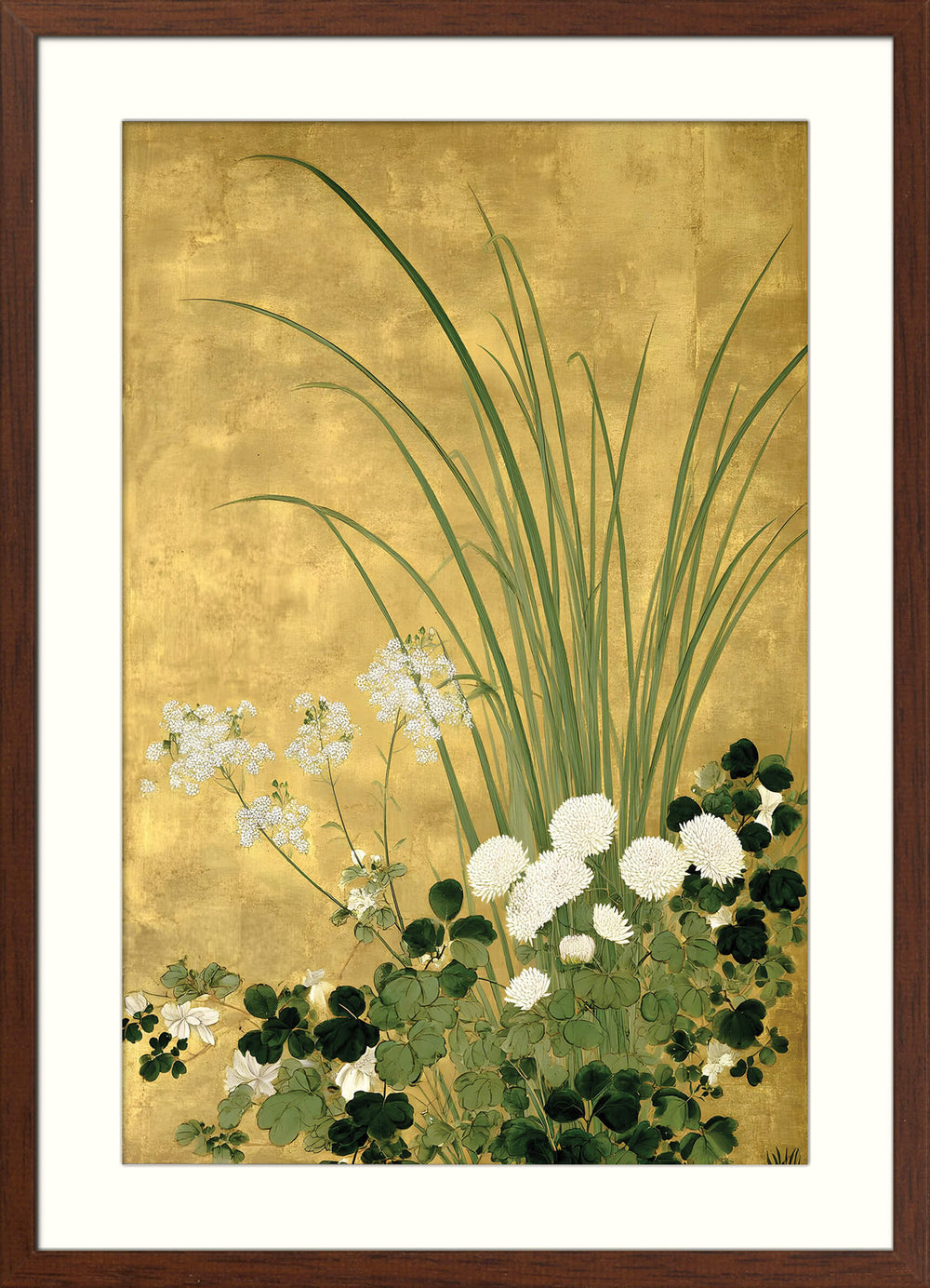 Japanese Chrysanthemum and Grasses