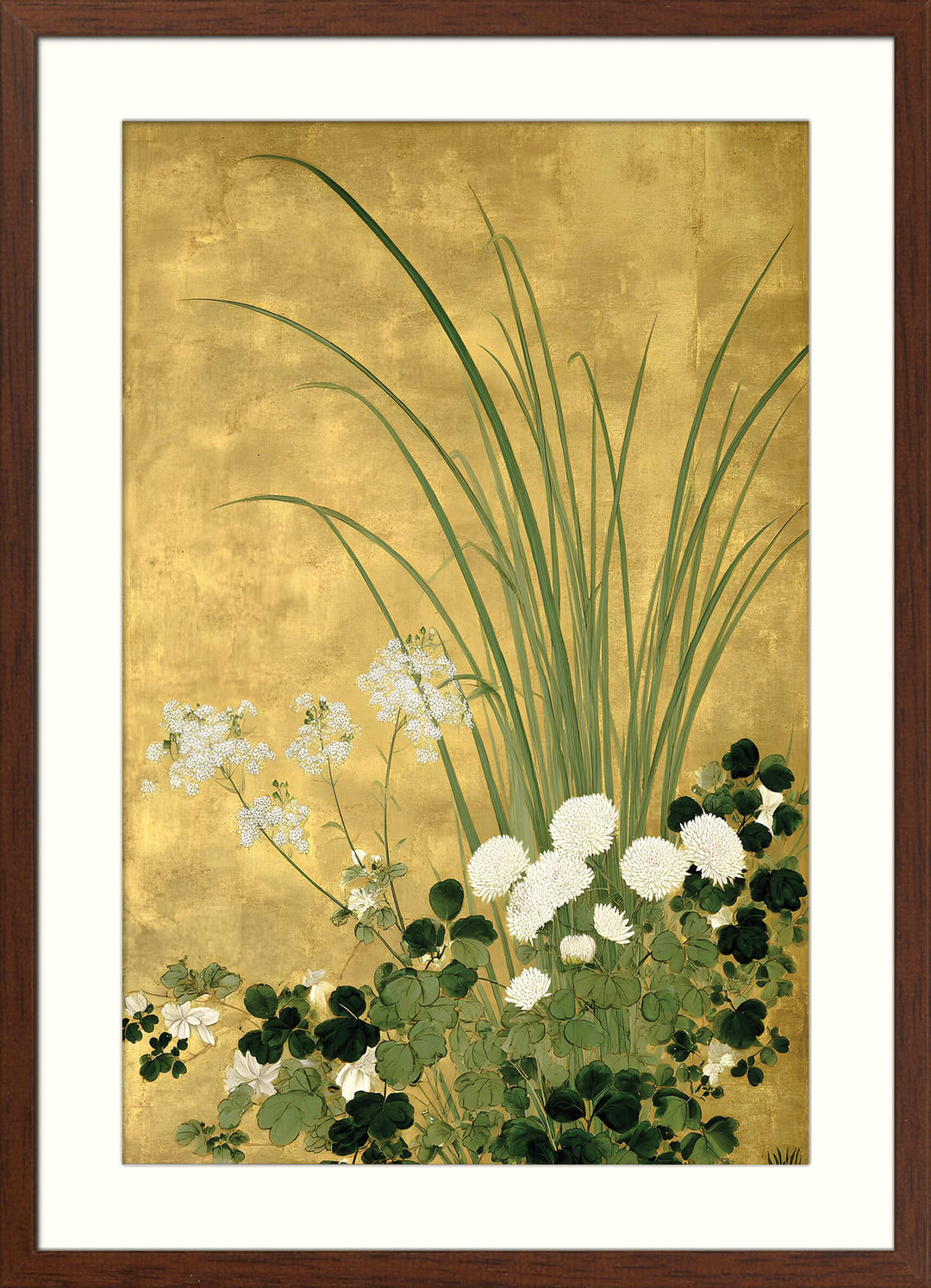 Japanese Chrysanthemum and Grasses