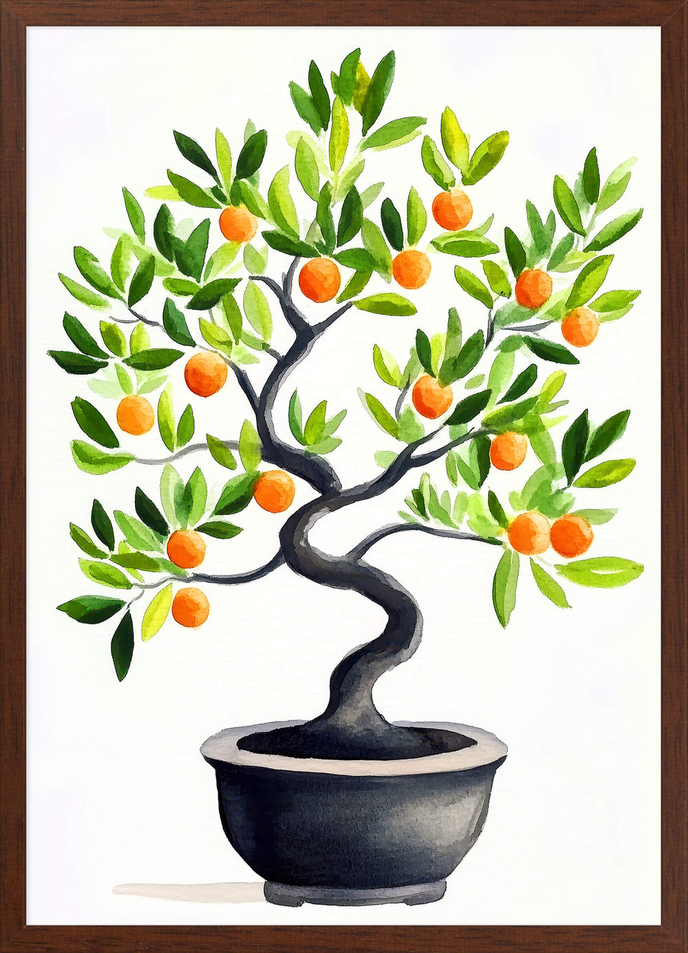 Citrus Bonsai