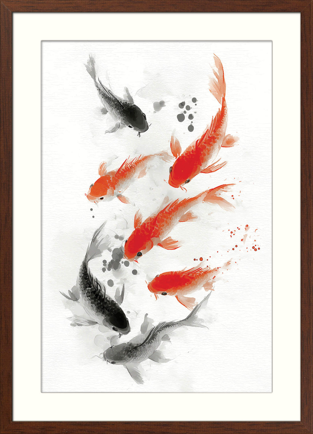 Koi Fish in Motion
