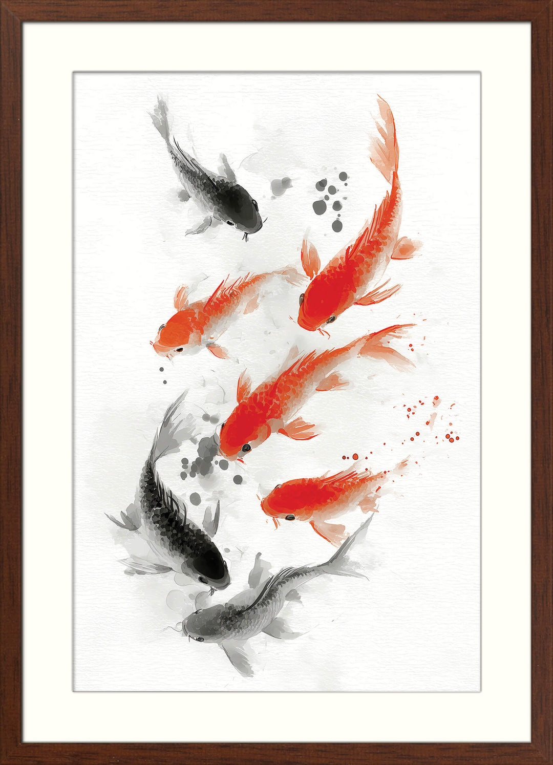 Koi Fish in Motion
