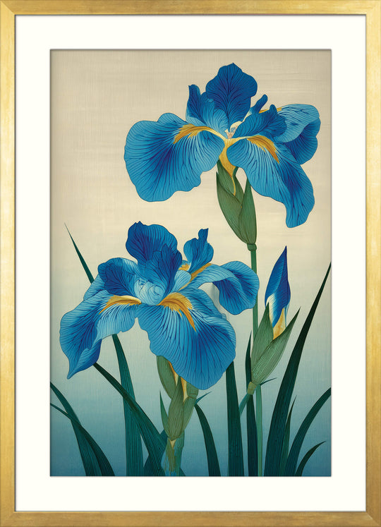Blue Irises