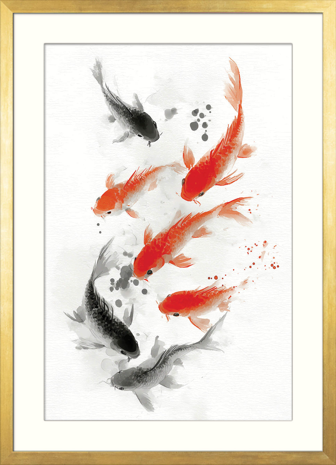 Koi Fish in Motion