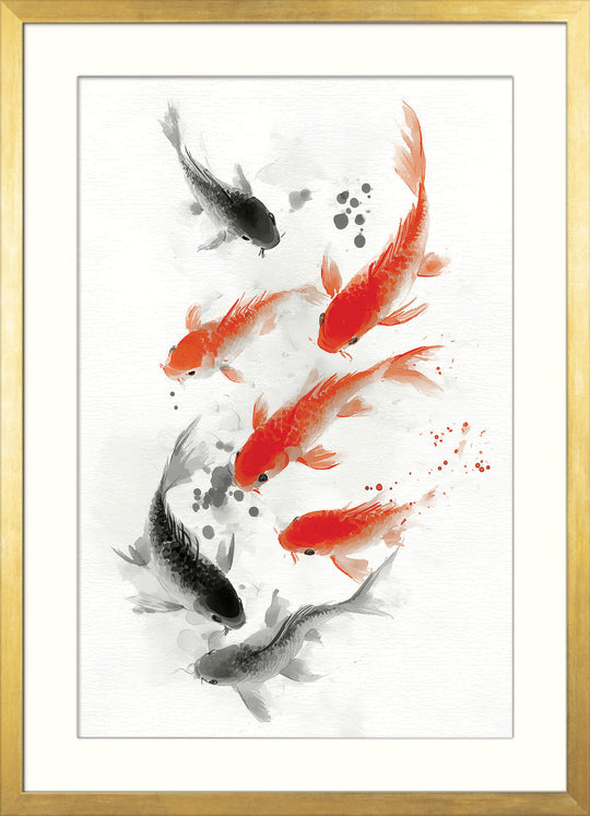 Koi Fish in Motion