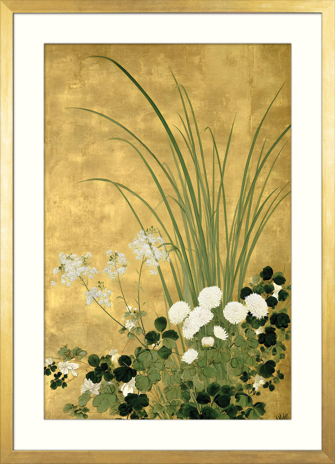 Japanese Chrysanthemum and Grasses