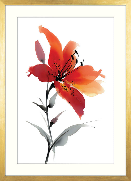 Red Lily