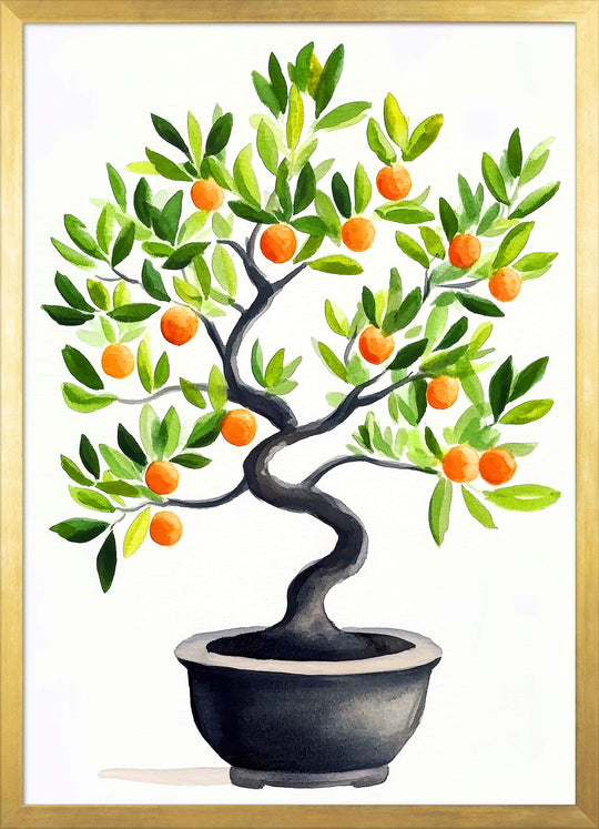 Citrus Bonsai