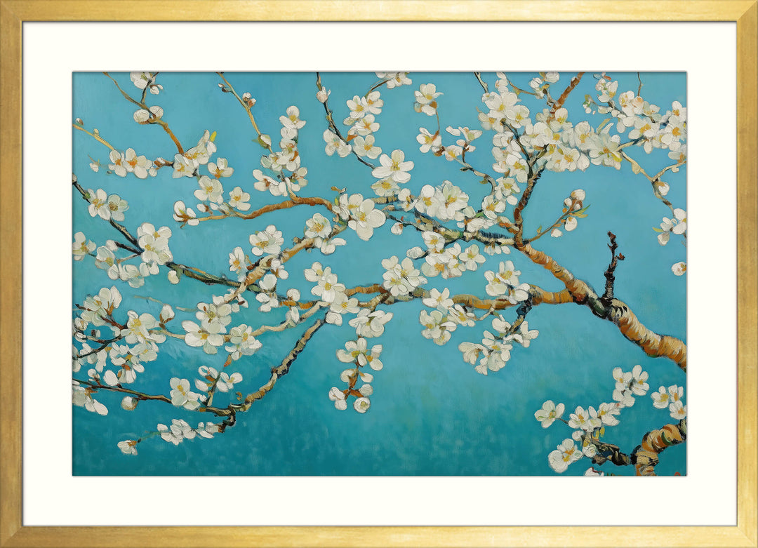 Almond Blossoms in Bloom