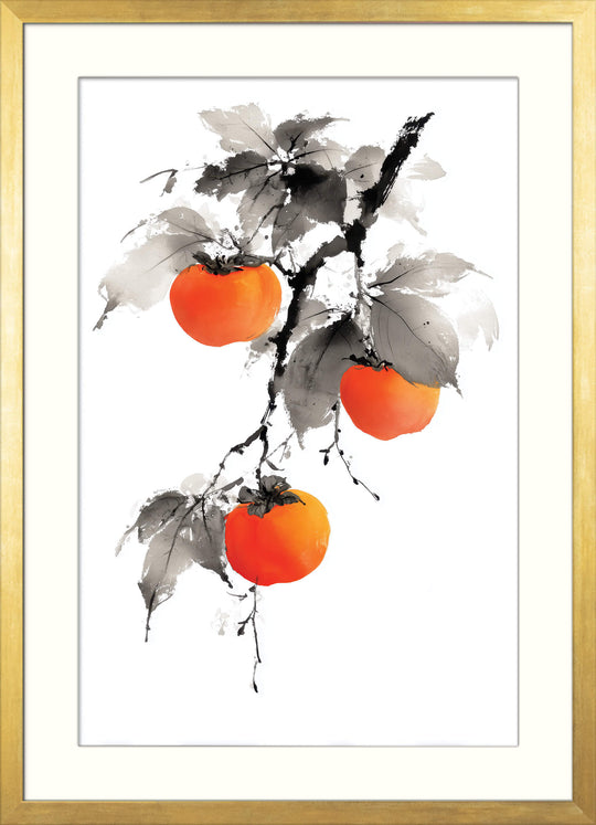 Persimmons on Branch