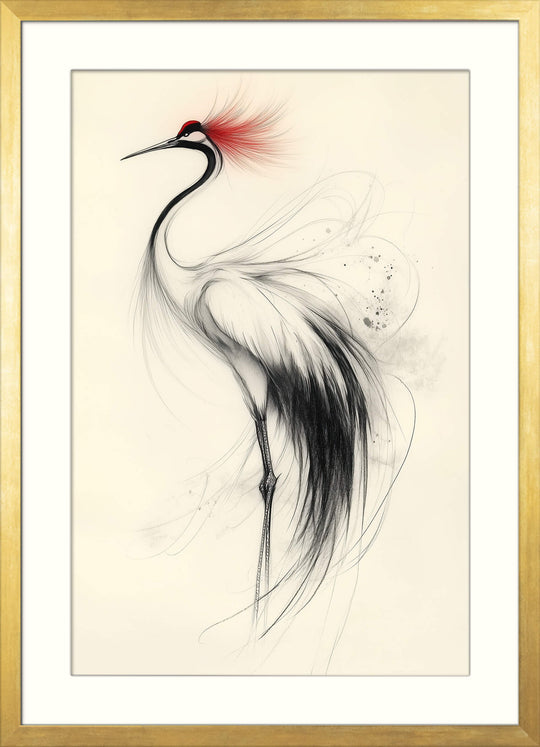 Graceful Crane
