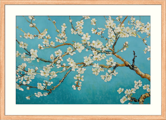 Almond Blossoms in Bloom