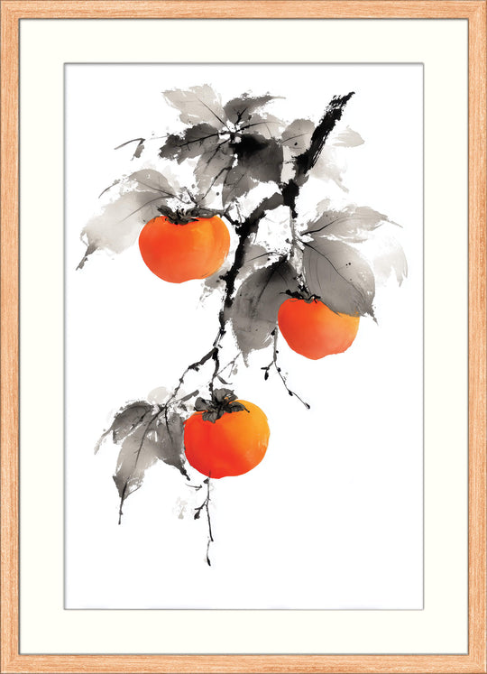 Persimmons on Branch