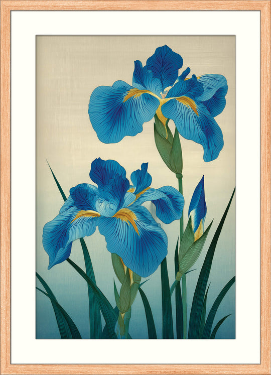 Blue Irises