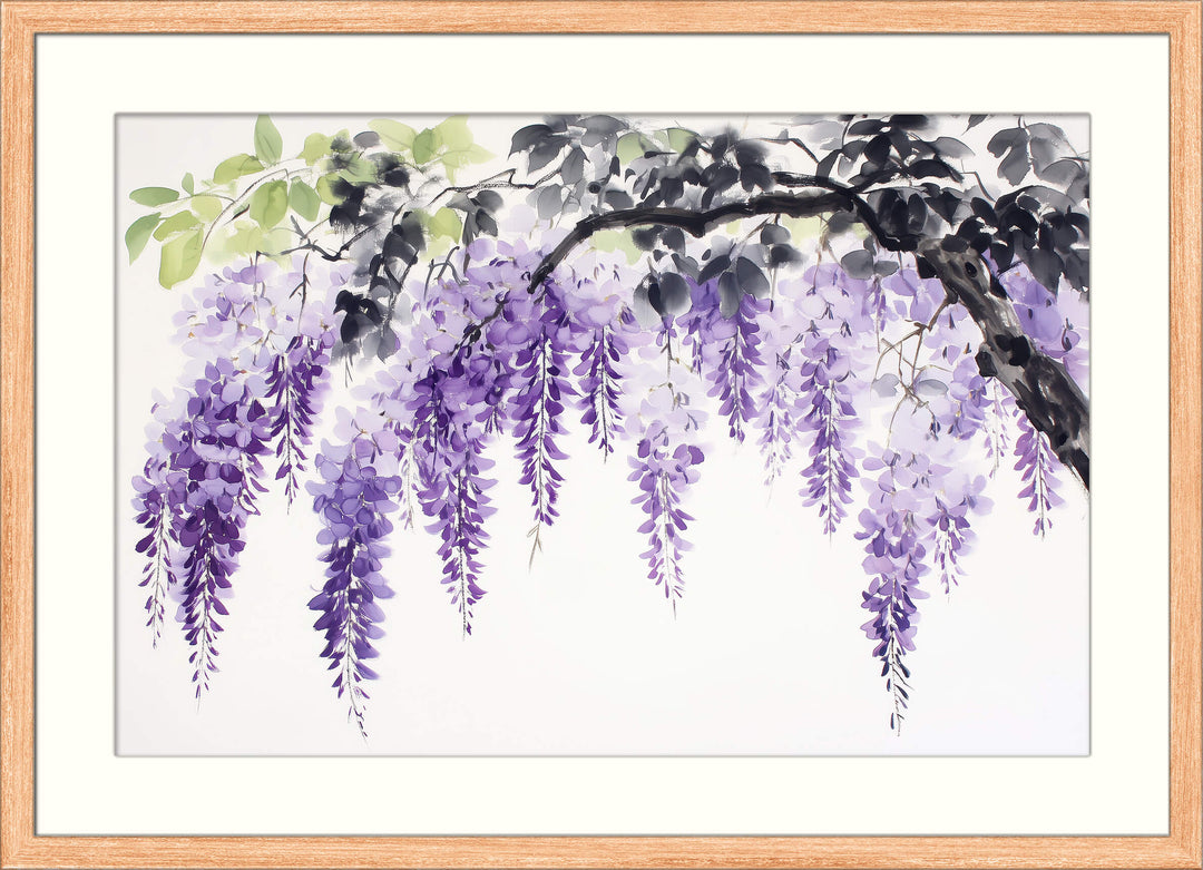 Purple Hanging Wisteria