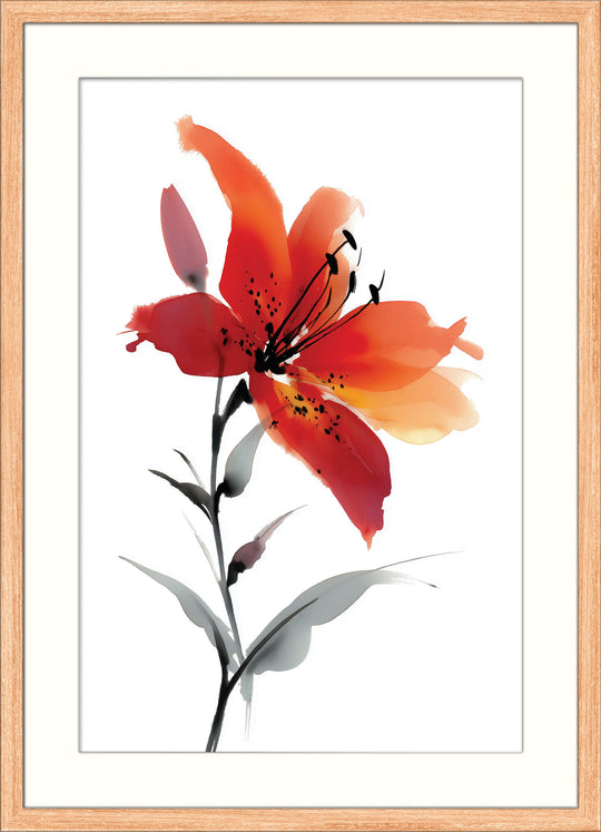 Red Lily