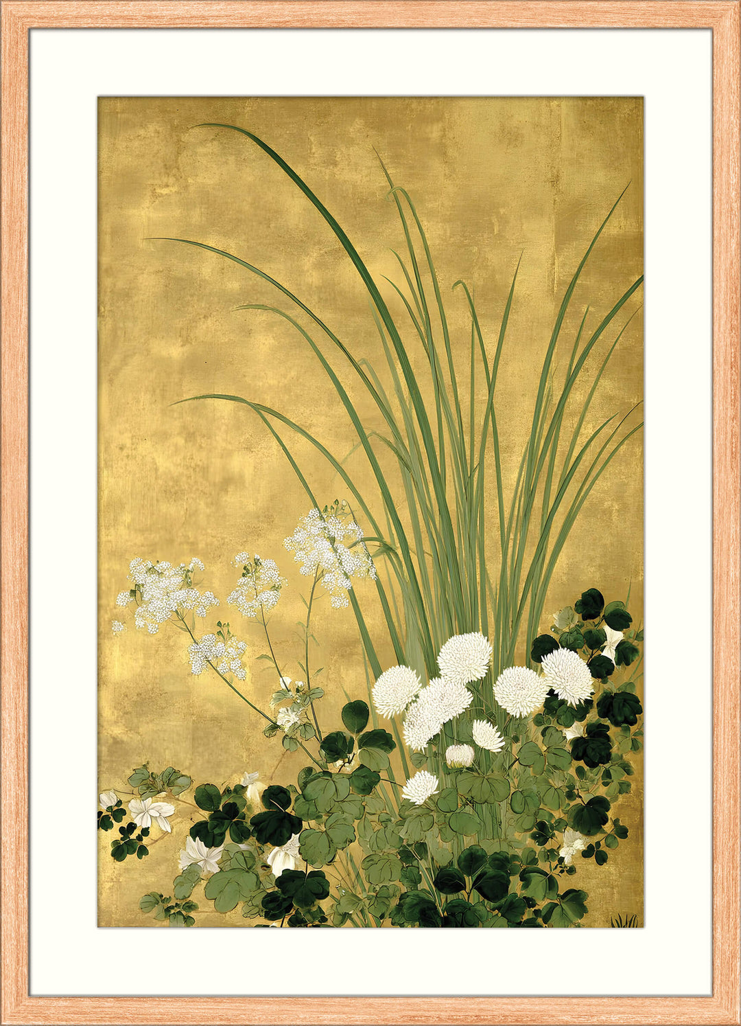 Japanese Chrysanthemum and Grasses