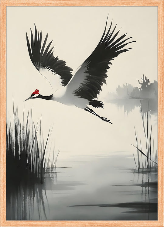 Red-Crowned Crane in Flight