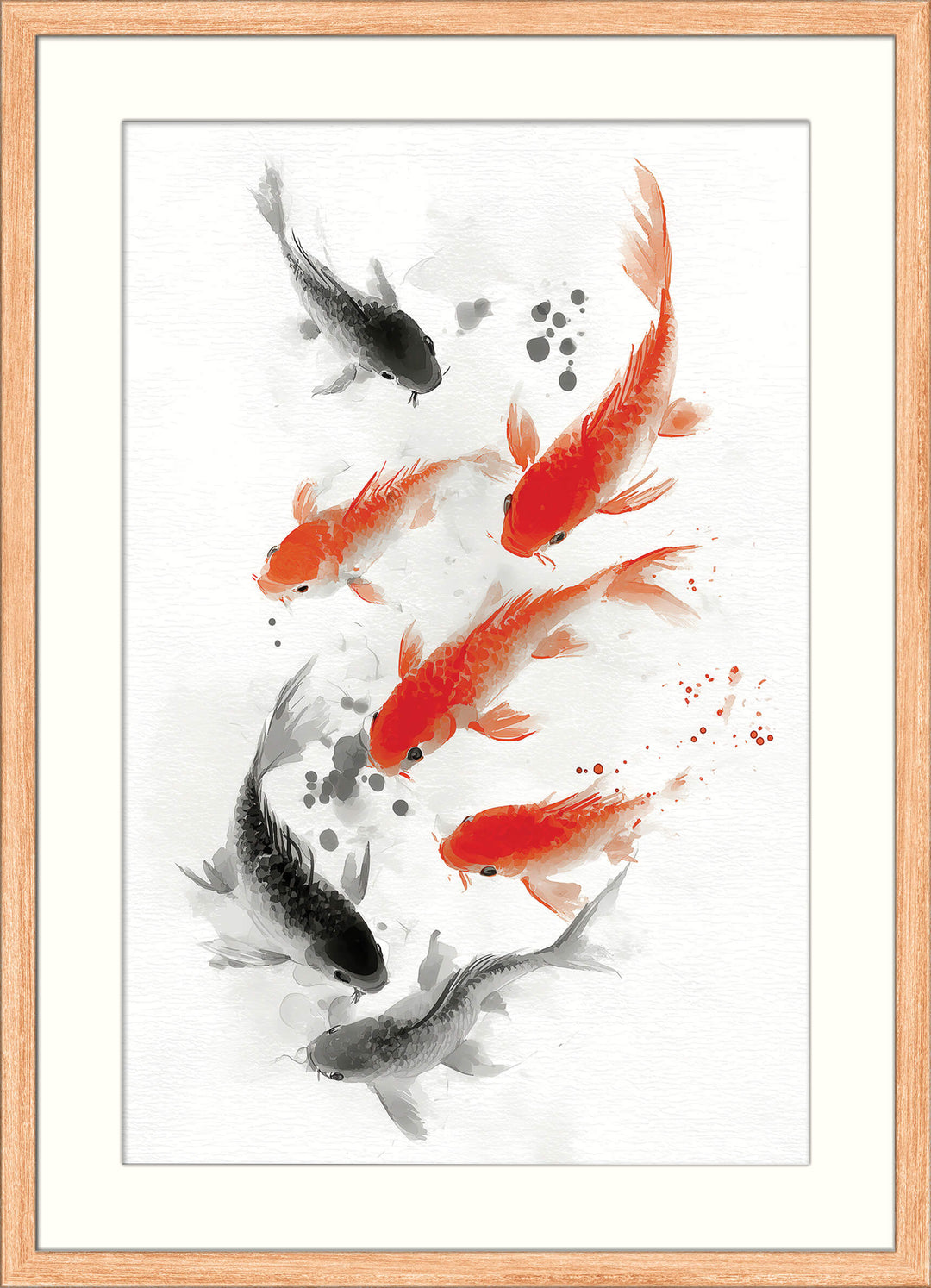 Koi Fish in Motion
