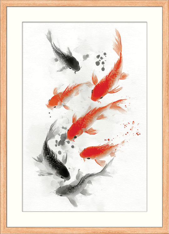Koi Fish in Motion