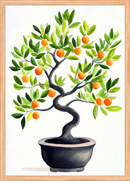 Citrus Bonsai