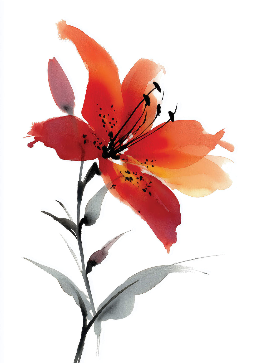 Red Lily