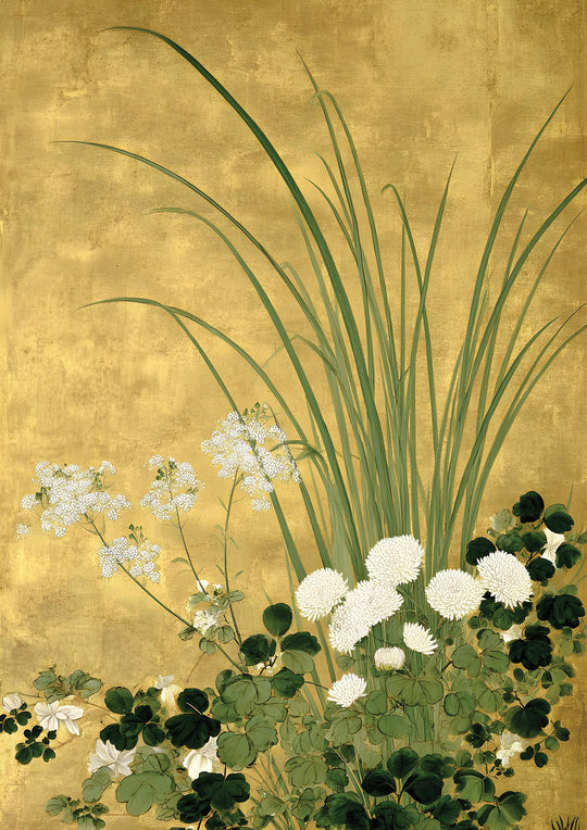 Japanese Chrysanthemum and Grasses