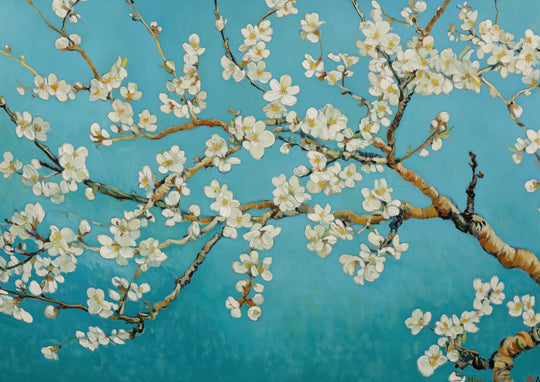 Almond Blossoms in Bloom