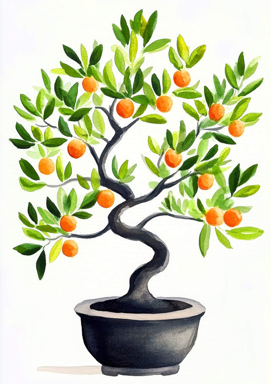 Citrus Bonsai