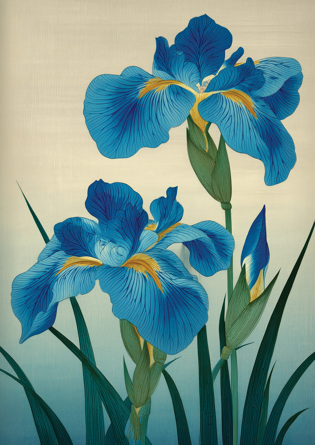 Blue Irises