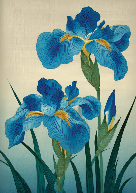 Blue Irises