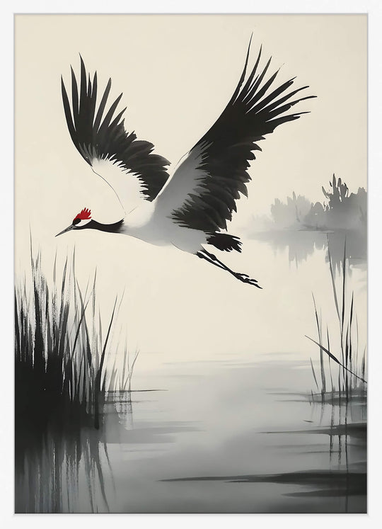 Red-Crowned Crane in Flight