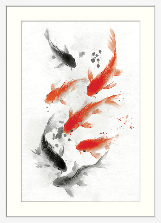 Koi Fish in Motion