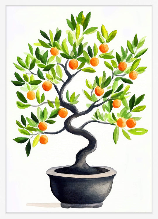 Citrus Bonsai