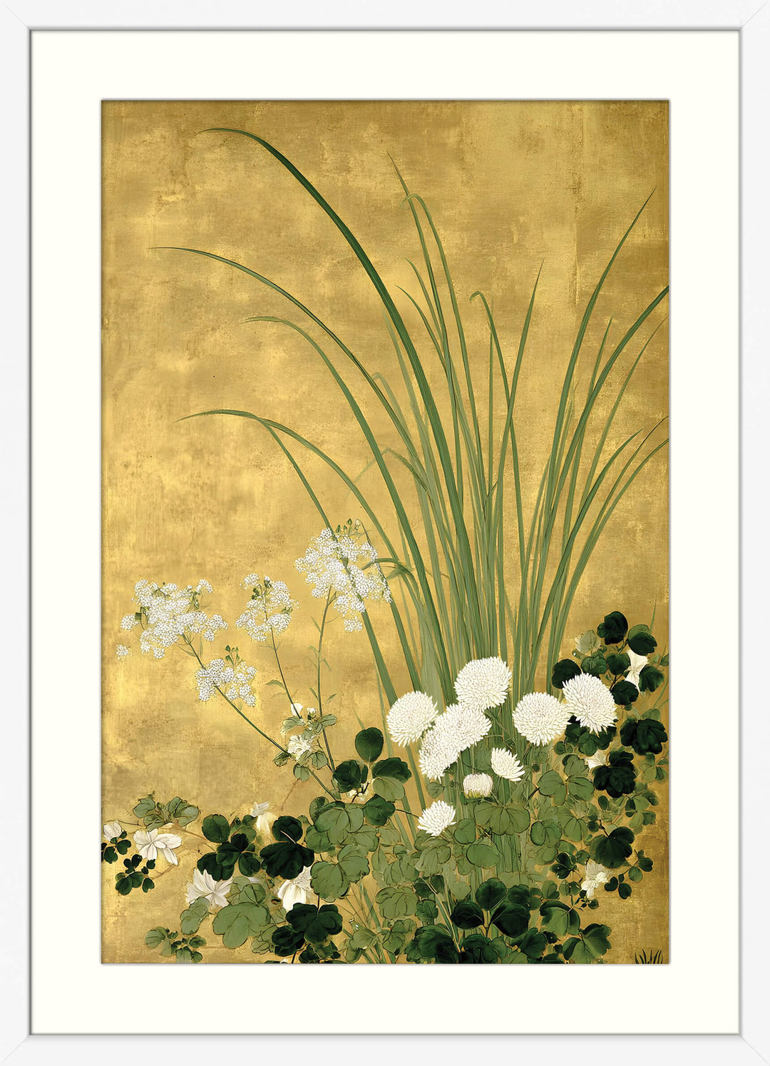 Japanese Chrysanthemum and Grasses