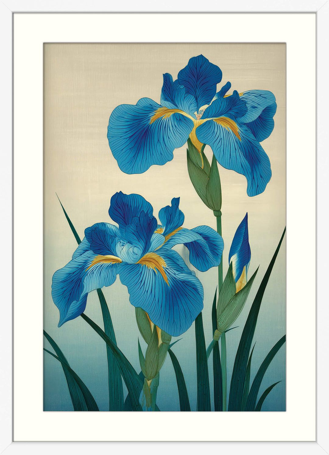 Blue Irises