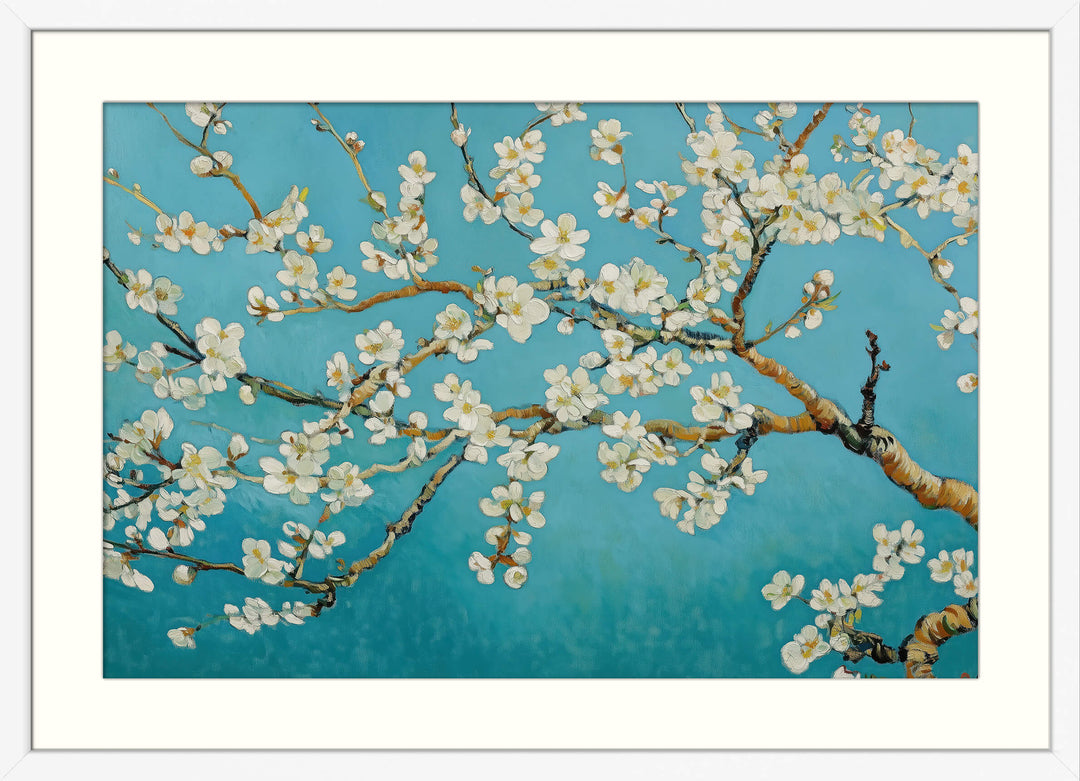 Almond Blossoms in Bloom